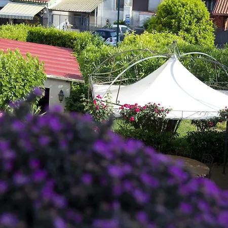 Hotel Degli Amici 3*